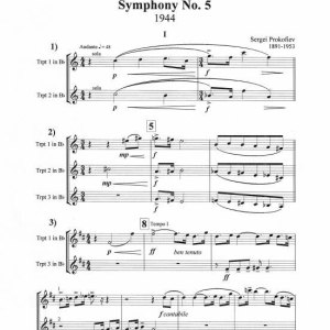 Essential-Excerpts,-Vol.-13