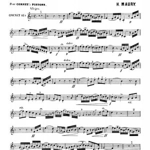 <b>Concertino No. 2</b></br>Hippolyte Maury