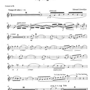 Llewellyn-My-Regards