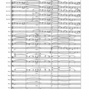 Strauss-Fanfare-der-Stadt-Wien