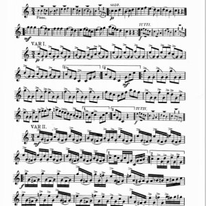 <b>America</b></br>Jules Levy