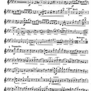 <b>Concert Fantasie</b></br>Gustav Cords