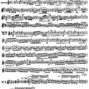 <b>The Ocean View</b></br>John Hartmann