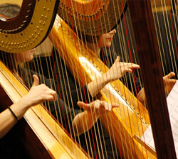 • Trumpet and Strings + Harp